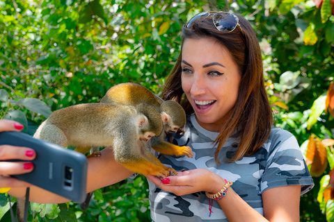 From Bayahibe: Half Day Monkeyland Safari
