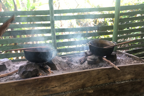 From Bayahibe: Half Day Monkeyland Safari