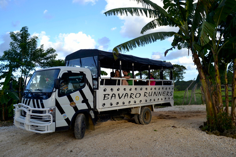 From Bayahibe: Half Day Monkeyland Safari