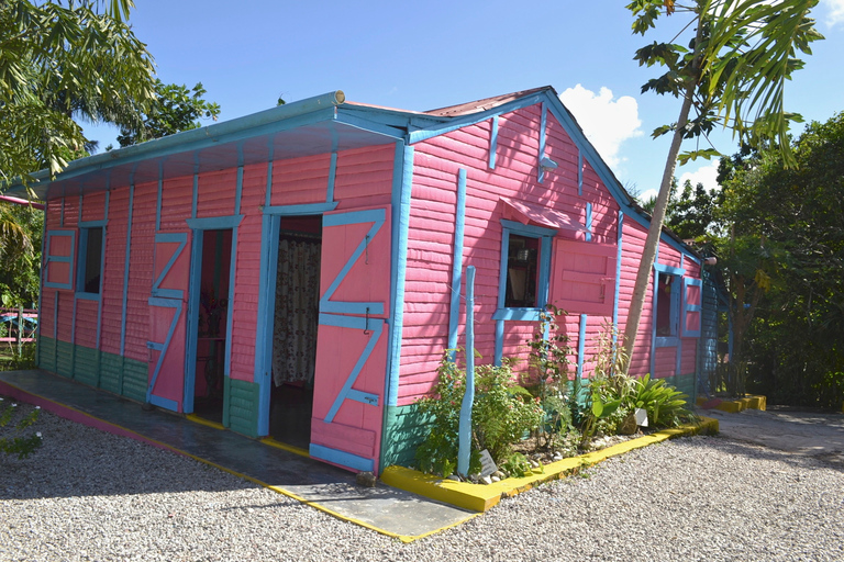 From Bayahibe: Half Day Monkeyland Safari