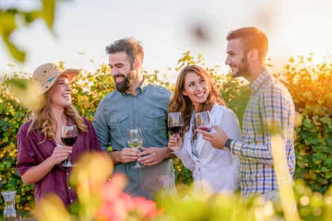 Von Los Gatos: Saratoga Trail Wineries Tour