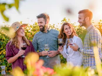 Von Los Gatos: Saratoga Trail Wineries Tour Von Los Gatos: Saratoga Trail Wineries Tour