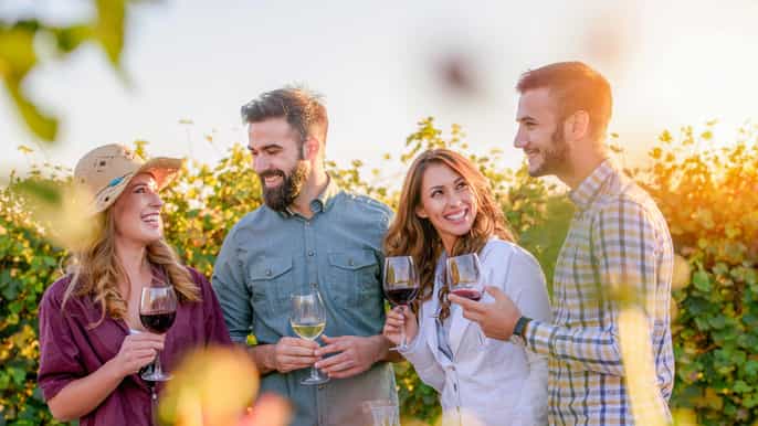 from los gatos saratoga trail wineries tour