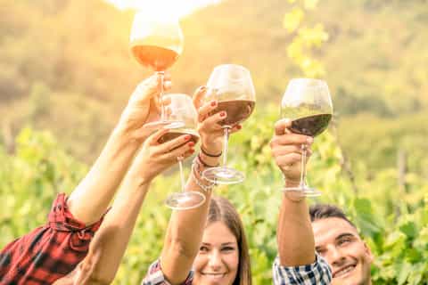 From Los Gatos: Summit Wineries Tour