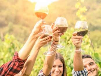 Von Los Gatos: Summit Wineries Tour Von Los Gatos: Summit Wineries Tour