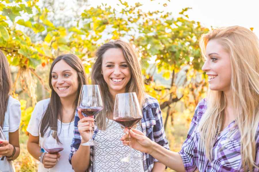 Ab Los Gatos: South Bay Wineries Tour. Foto: GetYourGuide