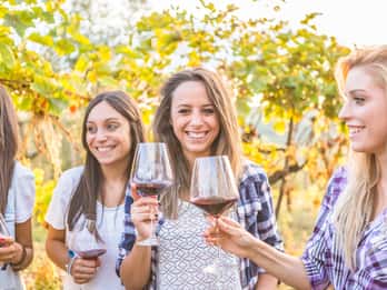 Von Los Gatos: South Bay Wineries Tour Von Los Gatos: South Bay Wineries Tour