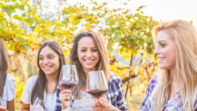 from los gatos south bay wineries tour