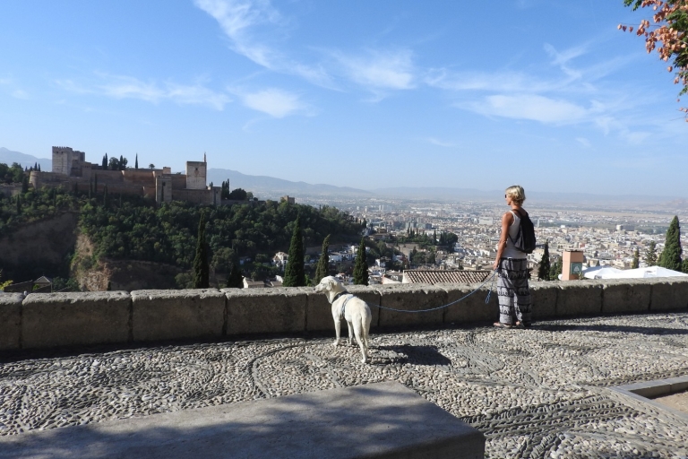 Granada: Geführter Albaicín-Besuch mit Haustieren