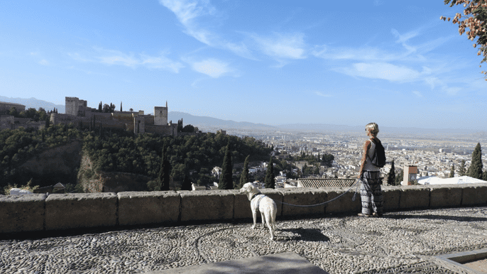 granada guided albaicín visit with pets