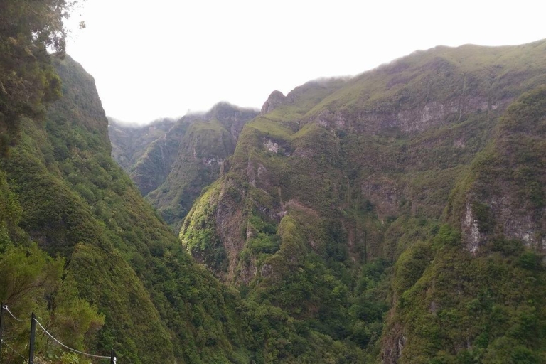 Madeira: Queimadas, Caldeirão Verde en Levada WalkMadeira: privé Queimadas, Caldeirão Verde en Levada Walk