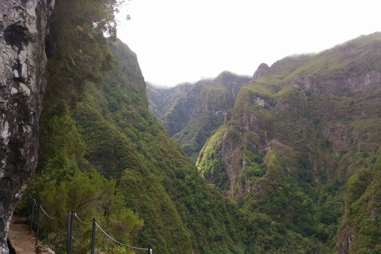 Madère: Queimadas, Caldeirão Verde et Levada WalkMadère: Queimadas privées, Caldeirão Verde et Levada Walk