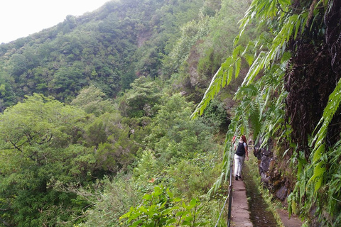 Madeira: Queimadas, Caldeirão Verde en Levada Walk