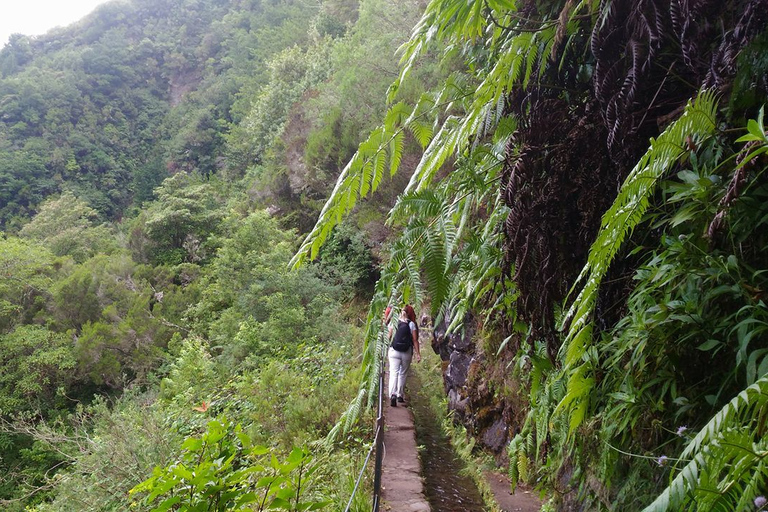 Madeira: Queimadas, Caldeirão Verde en Levada Walk