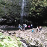 Madeira: Queimadas, Caldeirão Verde and Levada Walk