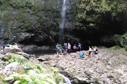 Madeira: Queimadas, Caldeirão Verde e Levada Walk