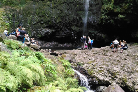 Madeira: Queimadas, Caldeirão Verde & Levada-Wanderung