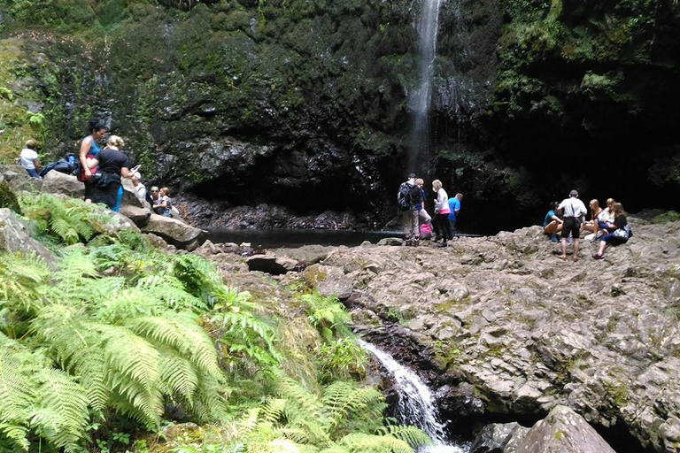 Madeira: Queimadas, Caldeirão Verde en Levada WalkMadeira: privé Queimadas, Caldeirão Verde en Levada Walk