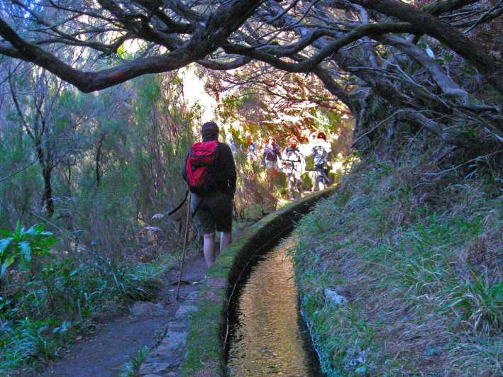 madeira day trips tripadvisor