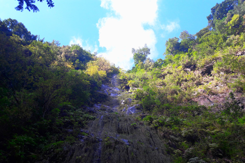 Depuis Funchal : levada des vallées de São Jorge