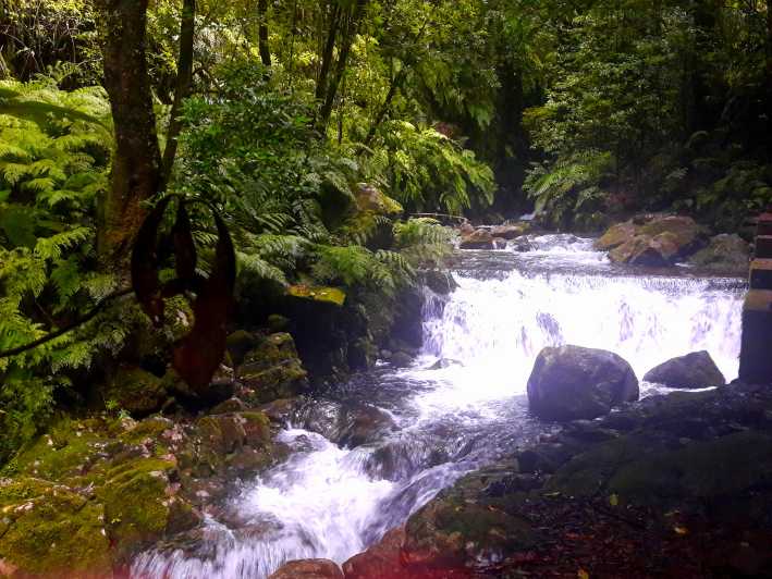 From Funchal: São Jorge Valleys Levada Walk