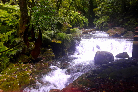 Vanuit Funchal: São Jorge Valleys Levada wandelingVanuit Funchal: São Jorge Valleys Levada privéwandeling