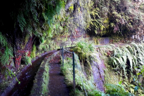 Vanuit Funchal: São Jorge Valleys Levada wandelingVanuit Funchal: São Jorge Valleys Levada privéwandeling