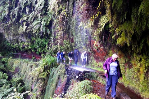 Vanuit Funchal: São Jorge Valleys Levada wandelingVanuit Funchal: São Jorge Valleys Levada privéwandeling