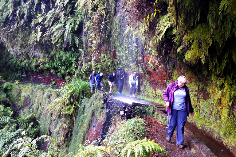 Ab Funchal: Levada-Wanderung durch die Täler von São JorgeAb Funchal: Private Wanderung im São Jorge Levada Tal