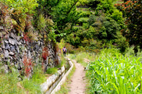 مروسس / وادي ميموسا - ليفادا - Hizvo