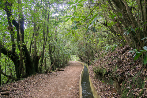 Ribeiro Frio / Portela - Levada-wandeling