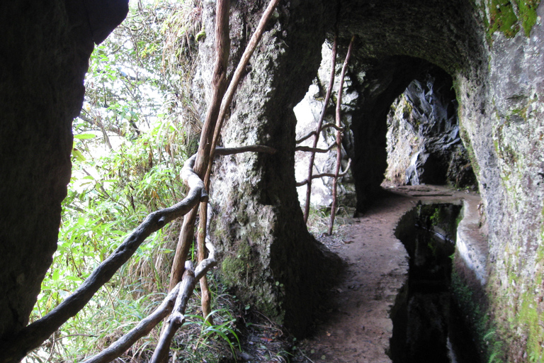 Ribeiro Frio / Portela - Levada-Wanderung