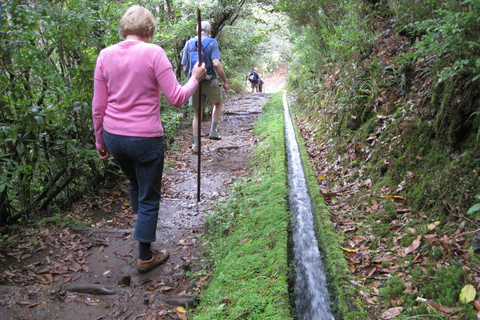 Ribeiro Frio / Portela - Levada Walk