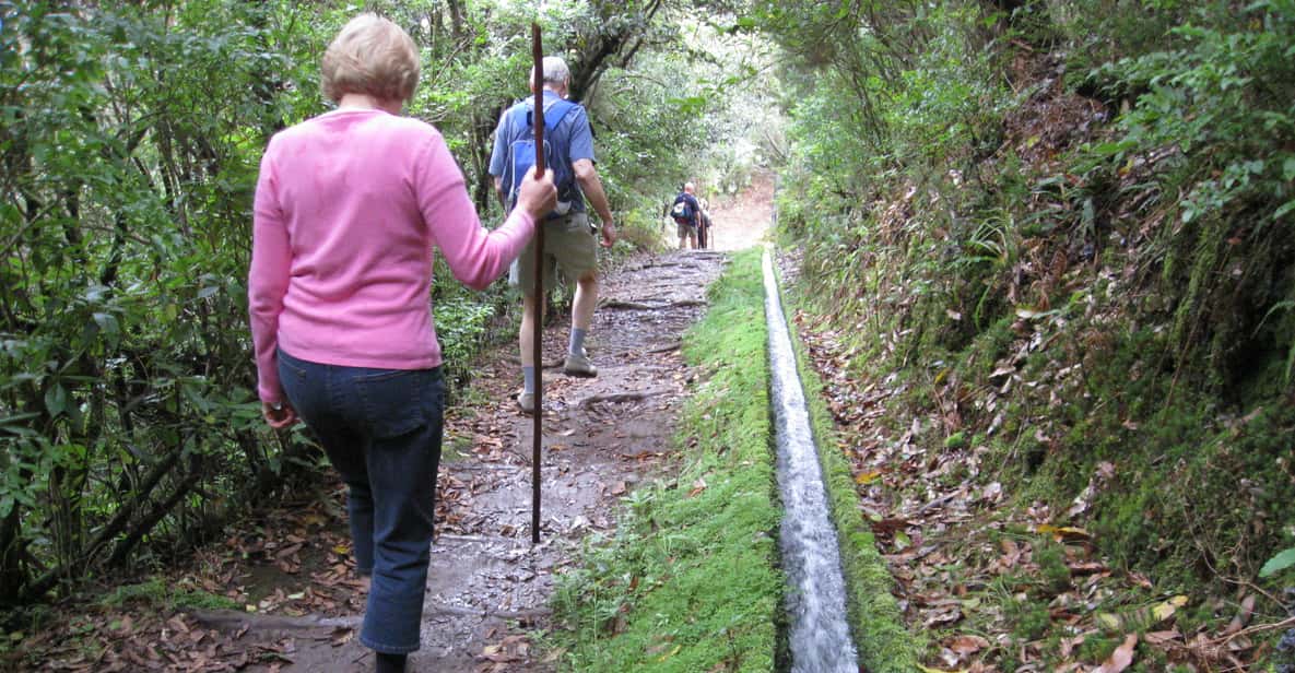 Ribeiro Frio / Portela - Levada Walk | GetYourGuide