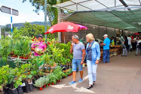 Desde Funchal: mercado dominical y tour de medio día a Santo da Serra
