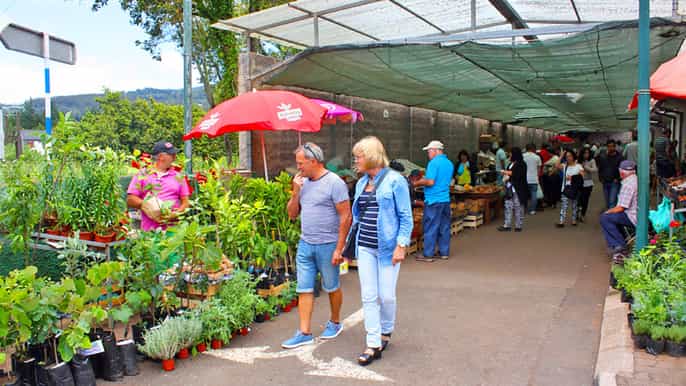 da funchal mercato della domenica e tour di mezza giornata a santo da serra