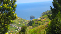 Referta / Castelejo - Levada Walk - Hizvo
