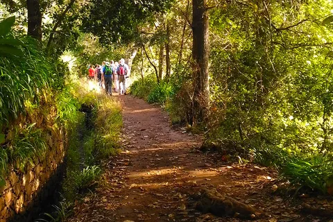 Madeira: Paseo Levada Paradise Valley