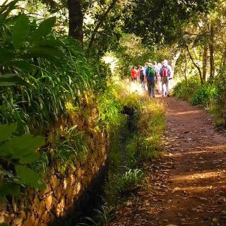 Madeira: Paradise Valley Levada Walk