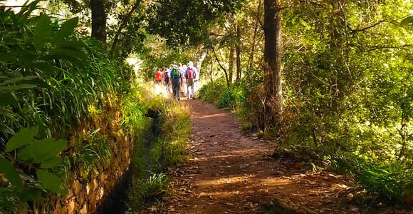 Madeira: Paradise Valley Levada Walk