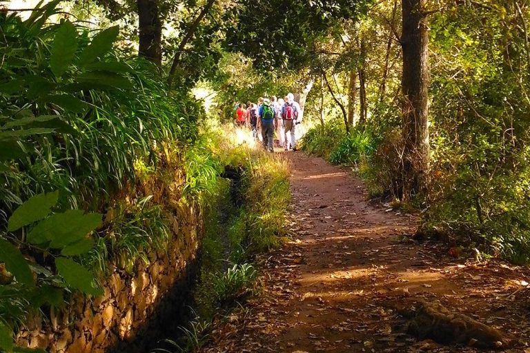 Madeira: levadawandeling door Paradise Valley