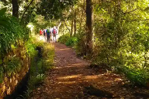 Madeira: Paradise Valley Levada Walk