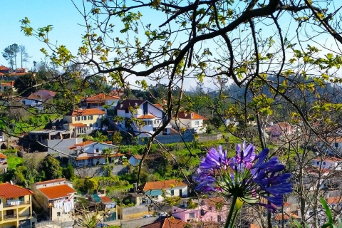 Madeira: levadawandeling door Paradise Valley