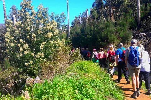 Paseo por la Levada del Valle de la Serra de Água