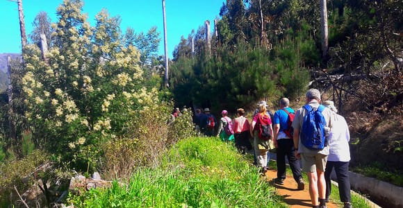 Serra de Água Valley Levada Walk