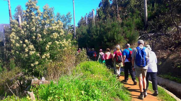 serra de Água valley levada walk