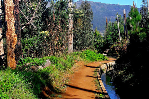 Caminhada na Levada do Vale da Serra de Água