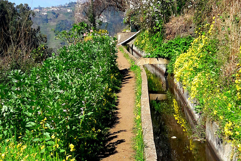 Spacer po lewadzie doliny Serra de Água ValleyPrywatny spacer po lewadzie doliny Serra de Água Valley