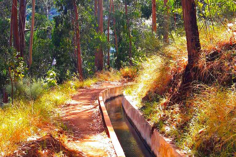 Van Funchal: wandeltocht in Serra de ÁguaVan Funchal: privé-wandeltocht in Serra de Água