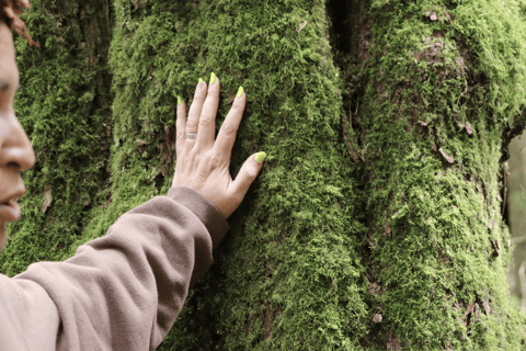 Vancouver: Tour degli alberi parlanti di Stanley Park